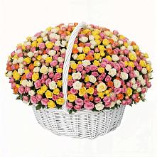 Премиум букет из: Розы #REPLACE_PRED# Прогресс