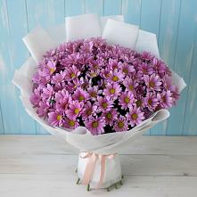 Букет цветов из:  Хризантемы в Прогресс
