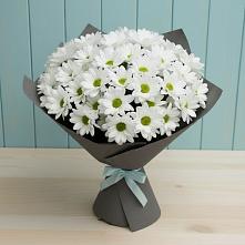 Букет цветов из:  Хризантемы #REPLACE_PRED# Прогресс