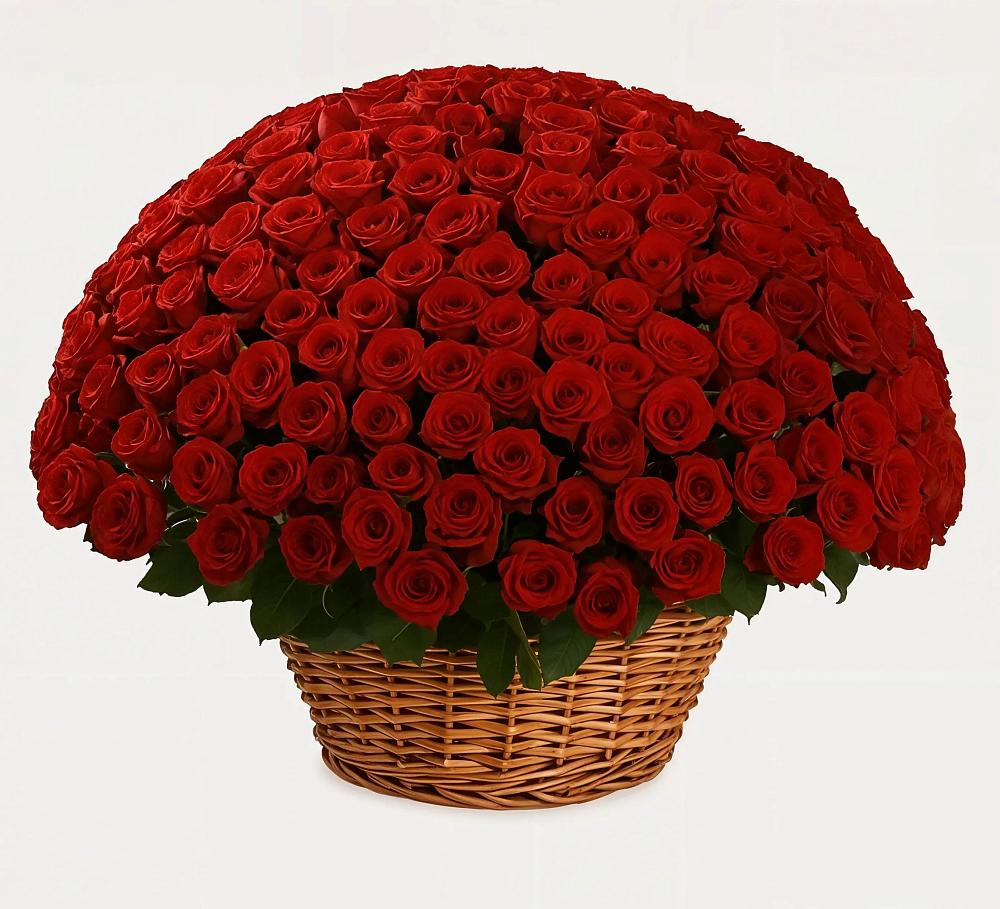 Премиум букет из: Розы в Прогресс