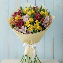 Букет цветов из:  Альстромерии в Прогресс