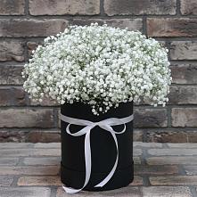 Цветочная композиция из Гипсофила в шляпной коробке #REPLACE_PRED# Прогресс