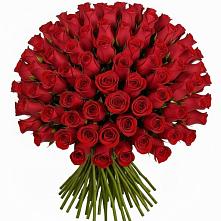 Букет Красные розы Чери Лав в Прогресс